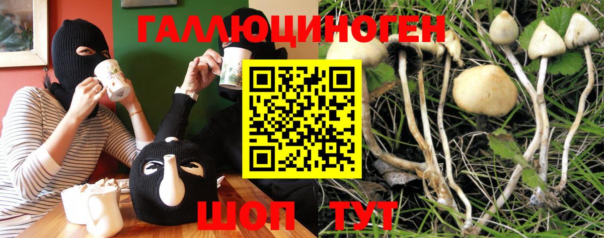 Псилоцибиновые грибы Cubensis Качканар