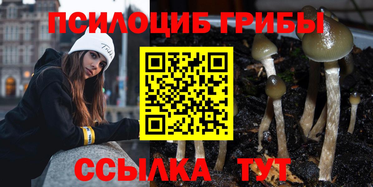 Псилоцибиновые грибы Magic Shrooms  Псилоцибиновые грибы ЛСД  Вход с VPN  Качканар 